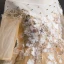 Elegant Champagne Flower Girl Dresses 2019 A-Line / Princess Square Neckline 3/4 Sleeve Appliques Lace Beading Detachable Chapel Train Ruffle Backless Wedding Party Dresses