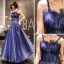 Ciel étoilé Bleu Roi Robe De Soirée 2019 Princesse Bretelles Spaghetti Sans Manches Glitter Tulle Longue Dos Nu Volants Robe De Ceremonie