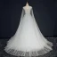 Élégant Bleu Ciel Robe De Bal 2018 Princesse Encolure Carrée Sans Manches Appliques En Dentelle Watteau Train Volants Dos Nu Robe De Ceremonie