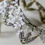 Vintage / Retro Handmade  Pearl Rhinestone Alloy Bridal Hair Accessories 2023 Wedding