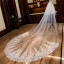 Chic / Beautiful White Royal Train Wedding Tulle Appliques 4 m Wedding Veils 2018