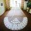 Unique Blanche Mariage 2017 Appliques Tulle Voile De Mariée