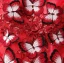 Lovely Red Floor-Length / Long Evening Dresses  2018 A-Line / Princess Tulle V-Neck Appliques Beading Backless Butterfly Sequins Evening Party Prom Dresses
