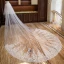 Chic / Beautiful White Royal Train Wedding Tulle Appliques 4 m Wedding Veils 2018
