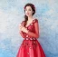 Lovely Red Floor-Length / Long Evening Dresses  2018 A-Line / Princess Tulle V-Neck Appliques Beading Backless Butterfly Sequins Evening Party Prom Dresses