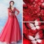 Lovely Red Floor-Length / Long Evening Dresses  2018 A-Line / Princess Tulle V-Neck Appliques Beading Backless Butterfly Sequins Evening Party Prom Dresses