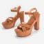 Sexy Summer Brown Street Wear Womens Sandals 2022 12 cm Thick Heels Waterproof Open / Peep Toe Ankle Strap Sandals High Heels