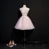 Classic Elegant Blushing Pink Watteau Train Graduation Dresses 2018 A-Line / Princess Tulle Appliques Backless Beading Strapless With Shawl Homecoming Formal Dresses