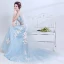 Chic / Beautiful Sky Blue Evening Dresses  2017 A-Line / Princess U-Neck Appliques Backless Embroidered Tulle Evening Party Prom Dresses