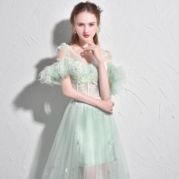 Amazing / Unique Sage Green Evening Dresses  2017 A-Line / Princess V-Neck Lace Feather Appliques Backless Beading Evening Party Formal Dresses