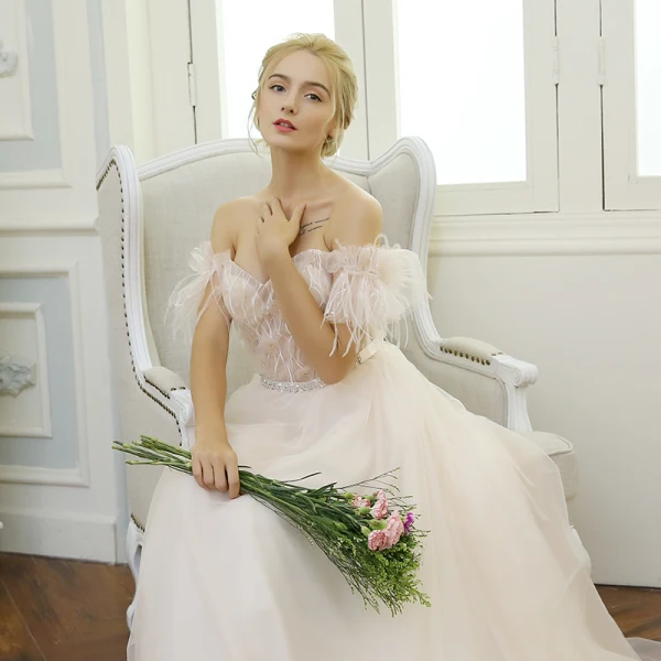 Élégant Plage Robe De Mariée 2017 Champagne Princesse Train De Balayage Manches Courtes Gland De l'épaule Dos Nu En Dentelle Appliques Fleur Perle Faux Diamant Ceinture
