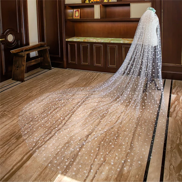 Chic / Beautiful White Royal Train Wedding 2018 Tulle Appliques Star Starry Sky Wedding Veils