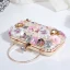 Fée Des Fleurs Multi-Couleurs Perlage Cristal Fleur Cocktail Soirée Pochette 2018