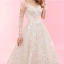 Luxe Champagne Chapel Train Huwelijk 2018 Lange Mouwen A lijn Tule U-hals Lace-up Appliques Ruglooze Geborduurde Trouwjurken