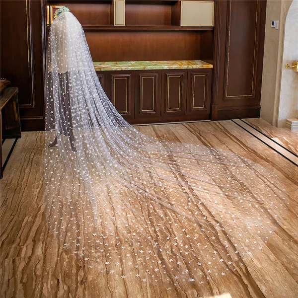 Chic / Beautiful White Royal Train Wedding 2018 Tulle Appliques Star Starry Sky Wedding Veils