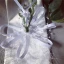 Fée Des Fleurs Blanche Gants Mariage 2020 Feuille Appliques Perle Tulle Promo Mariage Accessorize