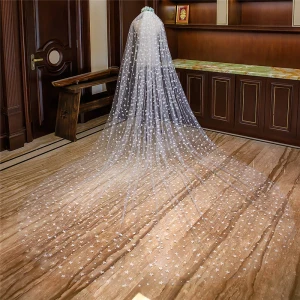 Schöne Weiß Königliche Schleppe Hochzeit 2018 Tülle Applikationen Star Sternenklarer Himmel Brautschleier