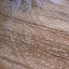 Chic / Beautiful White Royal Train Wedding 2018 Tulle Appliques Star Starry Sky Wedding Veils