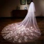 Chic / Belle Blanche Cathedral Train Mariage Tulle Appliques Voile De Mariée 2018