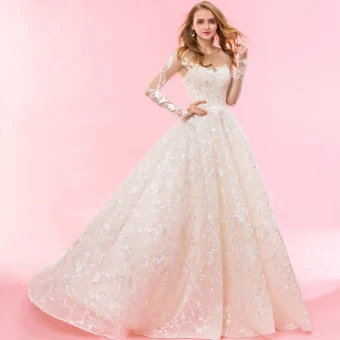 Luxury Gorgeous Champagne Chapel Train Wedding 2018 Long Sleeve A Line Princess Tulle U Neck Lace Up Appliques Backless Embroidered Wedding Dresses