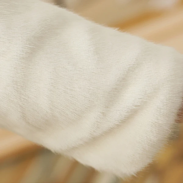 Blanche Hiver Encolure Dégagée 3/4 Manches Fausse Fourrure Brodé Mariage Promo Manteaux / vestes 2017
