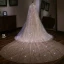 Glitter Bling Bling Champagne Cathedral Train Bruidssluier Tule Kralen Pailletten Huwelijk 2018