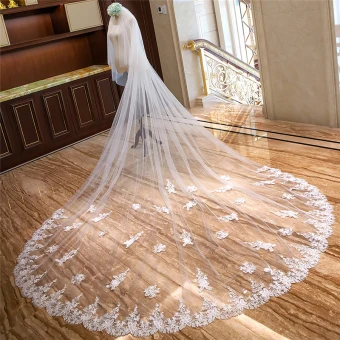 Amazing Unique White Royal Train Wedding Tulle Lace Appliques 4 M Wedding Veils 2018