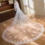Amazing / Unique White Royal Train Wedding Tulle Lace Appliques 4 m Wedding Veils 2018