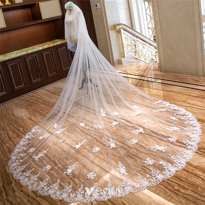 Amazing Tulle Wedding Veil With Lace Appliques
