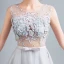 Chic / Beautiful Grey Evening Dresses  2017 A-Line / Princess U-Neck Tulle Appliques Backless Beading Evening Party Formal Dresses