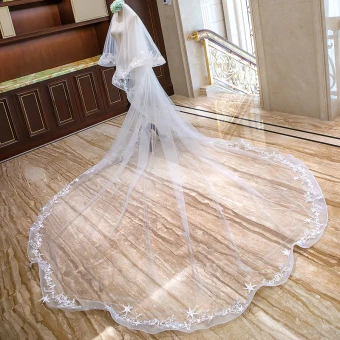 Chic Beautiful White Wedding Veils 2020 Lace Tulle Appliques Chapel Train Wedding Accessories