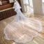 Chic / Belle Blanche Voile De Mariée 2020 Dentelle Tulle Appliques Chapel Train Mariage Accessorize