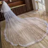 Chic / Beautiful White Wedding Veils 2020 Lace Tulle Appliques Chapel Train Wedding Accessories