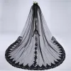 Baroque Black Cathedral Train Wedding Tulle Lace-up Appliques Wedding Veils 2018