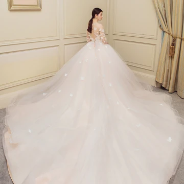 Chic Beautiful Champagne Wedding Dresses 2018 Ball Gown Butterfly Scoop Neck Backless 1 2 Sleeves Royal Train Wedding