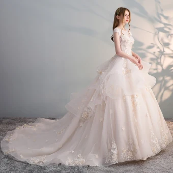 Chic Beautiful Champagne Wedding Dresses 2018 Ball Gown Lace Appliques Pearl Sequins Scoop Neck Backless Cap Sleeves Cathedral Train Wedding