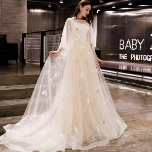 Moderne Mode Champagne Robe De Soirée 2019 Princesse Appliques Encolure Dégagée Dos Nu Tribunal Train Robe De Ceremonie