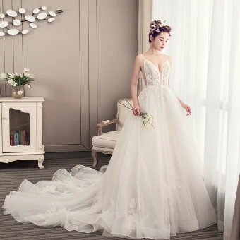 Elegant Champagne Wedding Dresses 2019 A Line Princess Spaghetti Straps Beading Lace Flower Sleeveless Backless Cathedral Train