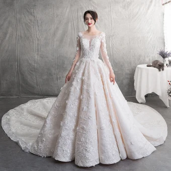 Moderne Mode Champagne Robe De Mariée 2019 Princesse Encolure Dégagée En Dentelle Fleur Appliques Dos Nu Manches Longues Royal Train