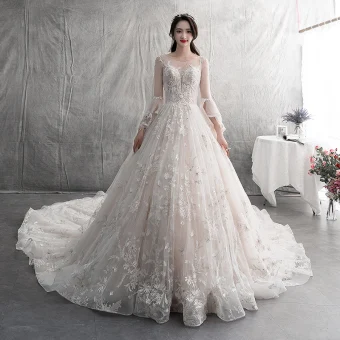 Modern Fashion Champagne Wedding Dresses 2019 A Line Princess Scoop Neck Lace Flower Appliques Butterfly Long Sleeve Backless Royal Train