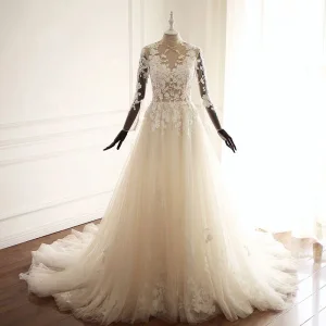 Illusion Champagne Transparentes Robe De Mariée 2018 Princesse En Dentelle Appliques Col Haut Manches Longues Chapel Train Mariage