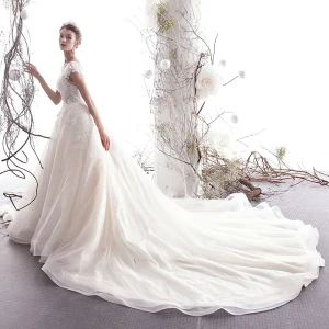 Chic Beautiful Champagne Wedding Dresses 2019 A Line Princess Scoop Neck Beading Lace Flower Appliques Sleeveless Royal Train