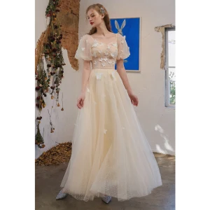 Charming Champagne Butterfly Prom Dresses 2021 A Line Princess Square Neckline Short Sleeve Backless Floor Length Long Formal Dresses