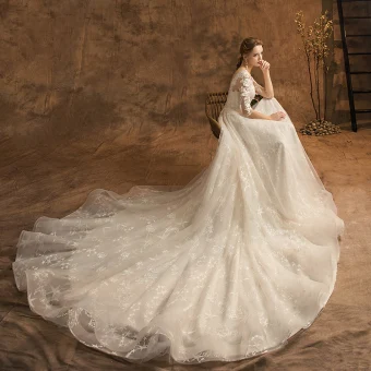 Elegant Champagne Wedding Dresses 2019 A Line Princess Scoop Neck Lace Flower Star 3 4 Sleeve Backless Chapel Train