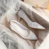 Charming Silver Lace Sequins Wedding Shoes 2021 6 cm Stiletto Heels Pointed Toe Wedding Pumps High Heels