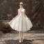 Modest / Simple Ivory Wedding Dresses 2019 A-Line / Princess High Neck Lace Flower Buttons Sleeveless Knee-Length