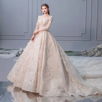 Elegant Champagne Wedding Dresses 2019 A Line Princess Scoop Neck Pearl Appliques Lace Flower Long Sleeve Backless Royal Train