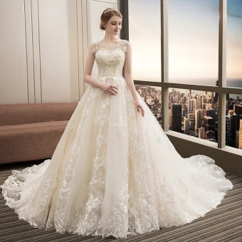 Charming Champagne Wedding Dresses 2019 A Line Princess V Neck Beading Lace Flower Bell Sleeves Backless Sweep Train
