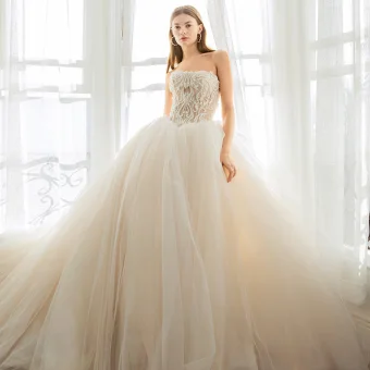 Moderne Mode Champagne Robe De Mariée 2019 Robe Boule Bustier En Dentelle Perlage Sans Manches Dos Nu Cathedral Train Mariage