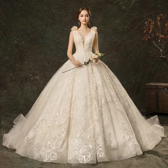 Charming Champagne Wedding Dresses 2019 A Line Princess See Through Deep V Neck Lace Flower Appliques Sleeveless Backless Cathedral Train